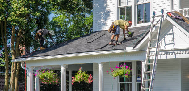 Best Storm Damage Roof Repair  in Bethany, IL